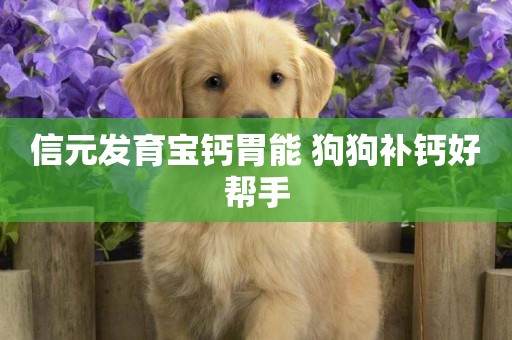 信元發育寶鈣胃能 狗狗補鈣好幫手