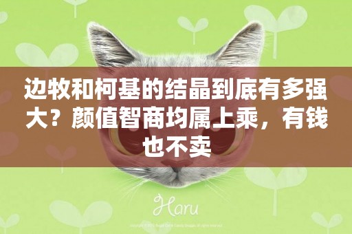 邊牧和柯基的結晶到底有多強大？顏值智商均屬上乘，有錢也不賣