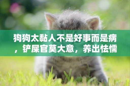 狗狗太黏人不是好事而是病，鏟屎官莫大意，養出怯懦敏感的狗狗呀