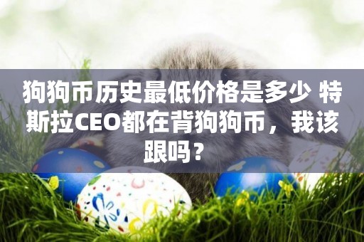 狗狗幣歷史最低價格是多少 特斯拉CEO都在背狗狗幣，我該跟嗎？ 
