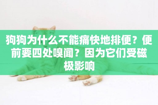 狗狗為什么不能痛快地排便？便前要四處嗅聞？因為它們受磁極影響