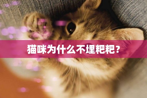 貓咪為什么不埋粑粑？