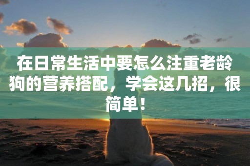 在日常生活中要怎么注重老齡狗的營養搭配，學會這幾招，很簡單！