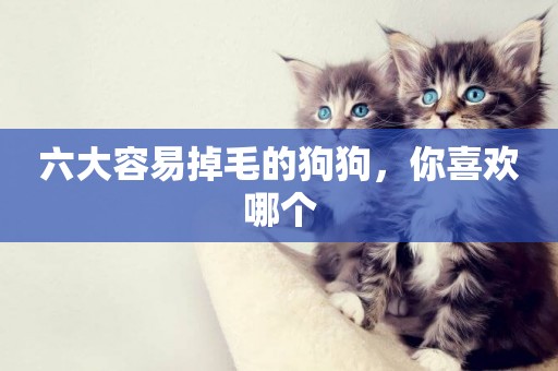六大容易掉毛的狗狗，你喜歡哪個