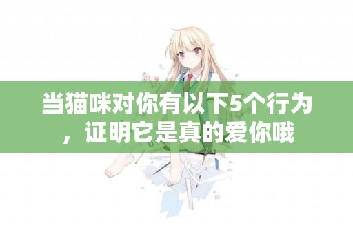 當貓咪對你有以下5個行為，證明它是真的愛你哦