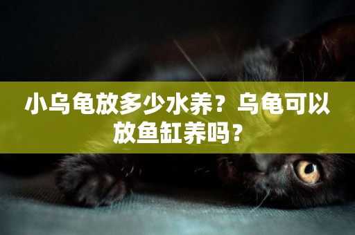 小烏龜放多少水養？烏龜可以放魚缸養嗎？