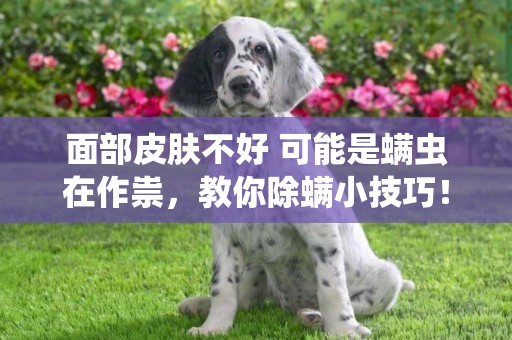 面部皮膚不好 可能是螨蟲在作祟，教你除螨小技巧！