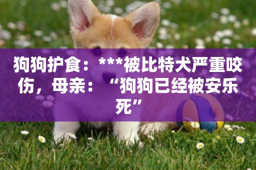 狗狗護食：***被比特犬嚴重咬傷，母親：“狗狗已經被安樂死”