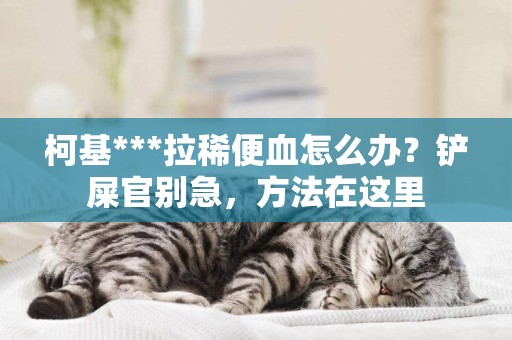 柯基***拉稀便血怎么辦？鏟屎官別急，方法在這里