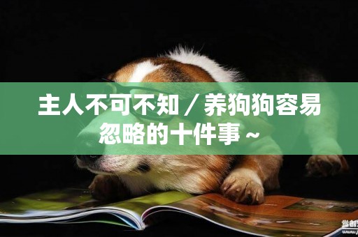 主人不可不知／養狗狗容易忽略的十件事～