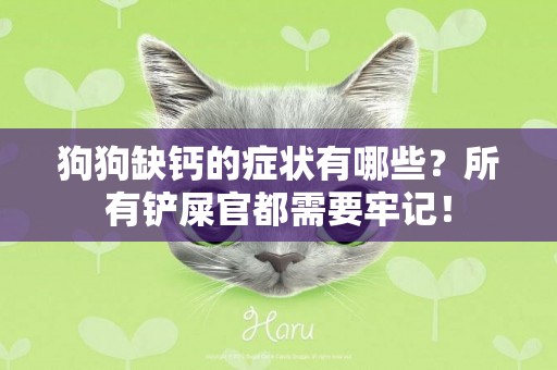 狗狗缺鈣的癥狀有哪些？所有鏟屎官都需要牢記！