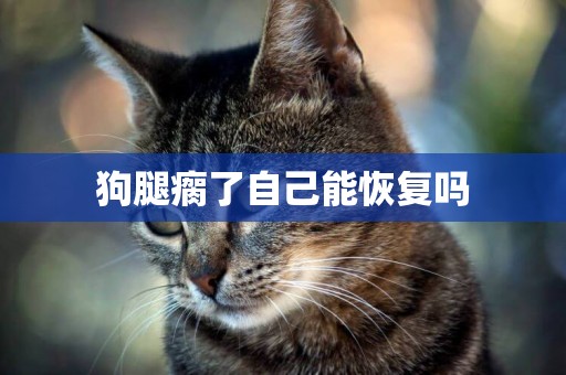狗腿瘸了自己能恢復嗎