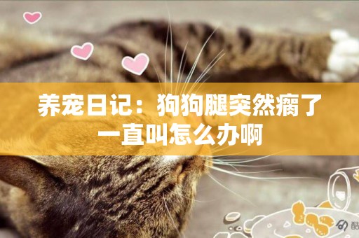 養寵日記：狗狗腿突然瘸了一直叫怎么辦啊