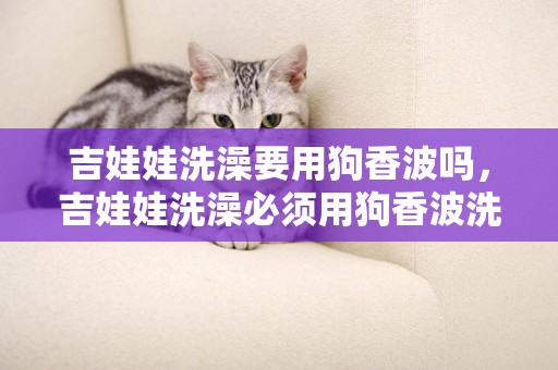 吉娃娃洗澡要用狗香波嗎，吉娃娃洗澡必須用狗香波洗嗎