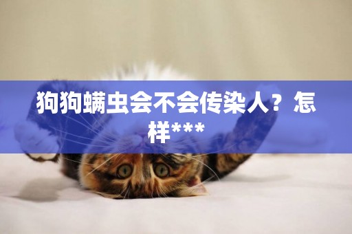 狗狗螨蟲會不會傳染人？怎樣***