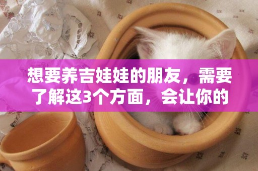 想要養吉娃娃的朋友，需要了解這3個方面，會讓你的狗狗更健康