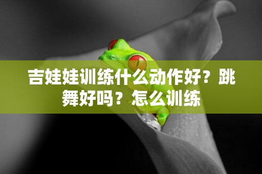 吉娃娃訓練什么動作好？跳舞好嗎？怎么訓練