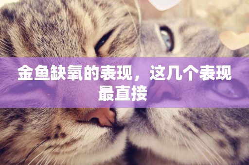 金魚缺氧的表現，這幾個表現最直接 