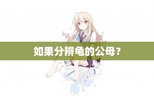 如果分辨龜的公母？