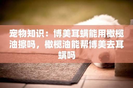 寵物知識：博美耳螨能用橄欖油擦嗎，橄欖油能幫博美去耳螨嗎