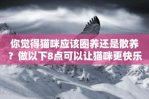 你覺得貓咪應該圈養還是散養？做以下8點可以讓貓咪更快樂