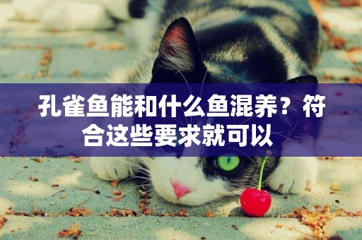 孔雀魚能和什么魚混養？符合這些要求就可以 