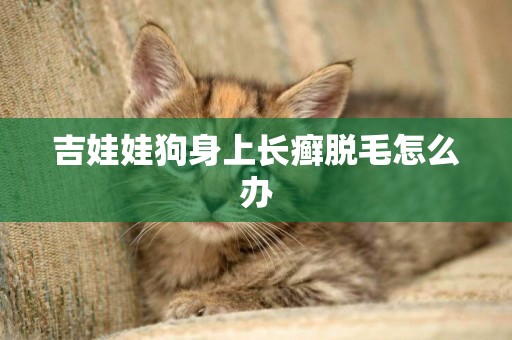 吉娃娃狗身上長癬脫毛怎么辦