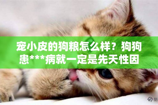 寵小皮的狗糧怎么樣？狗狗患***病就一定是先天性因素？