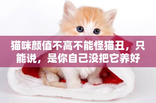 貓咪顏值不高不能怪貓丑，只能說，是你自己沒把它養好