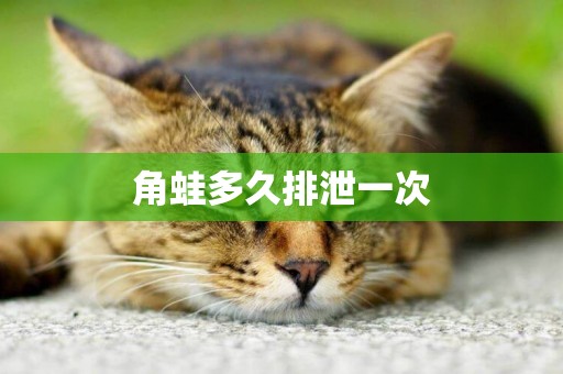 角蛙多久排泄一次