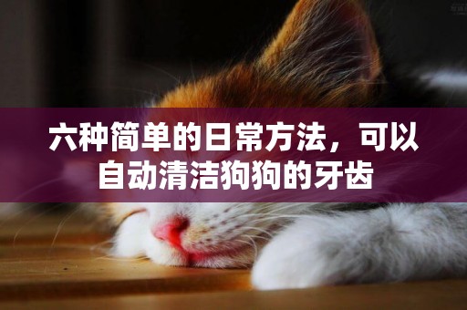 六種簡單的日常方法，可以自動清潔狗狗的牙齒