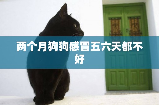 兩個月狗狗感冒五六天都不好