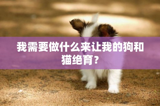 我需要做什么來讓我的狗和貓絕育？