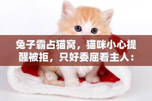 兔子霸占貓窩，貓咪小心提醒被拒，只好委屈看主人：你看看它啦