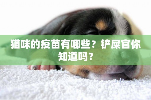 貓咪的疫苗有哪些？鏟屎官你知道嗎？
