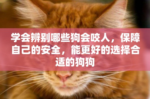 學會辨別哪些狗會咬人，保障自己的安全，能更好的選擇合適的狗狗