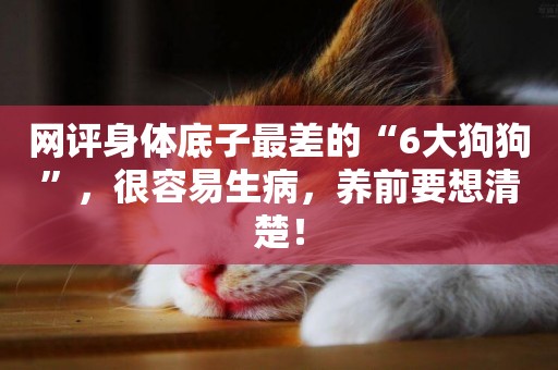 網評身體底子最差的“6大狗狗”，很容易生病，養前要想清楚！