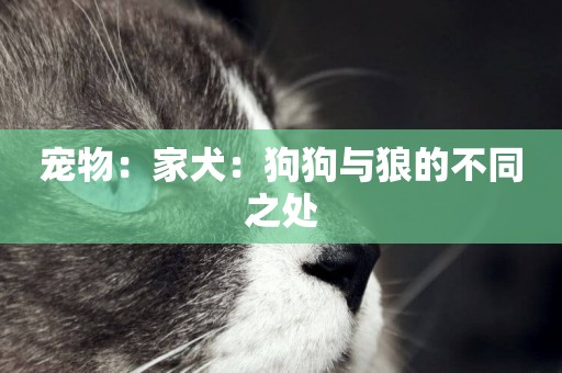 寵物：家犬：狗狗與狼的不同之處