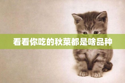 看看你吃的秋菜都是啥品種