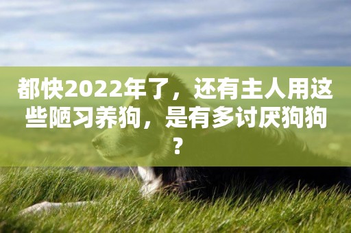 都快2022年了，還有主人用這些陋習養狗，是有多討厭狗狗？