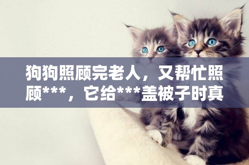 狗狗照顧完老人，又幫忙照顧***，它給***蓋被子時真的好暖心