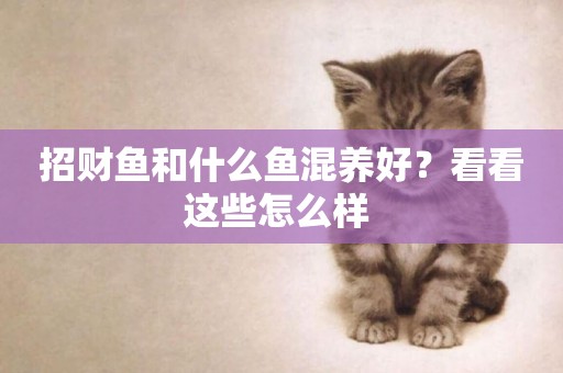 招財魚和什么魚混養好？看看這些怎么樣 
