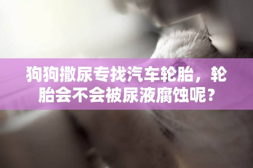 狗狗撒尿專找汽車輪胎，輪胎會不會被尿液腐蝕呢？