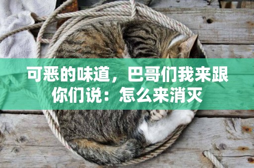 可惡的味道，巴哥們我來跟你們說：怎么來消滅