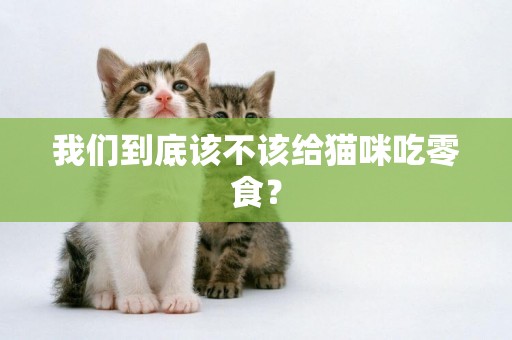 我們到底該不該給貓咪吃零食？