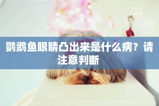 鸚鵡魚眼睛凸出來是什么病？請注意判斷 