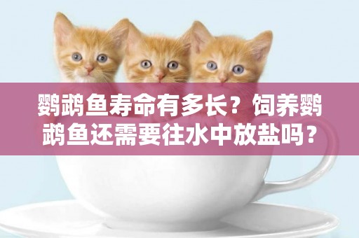 鸚鵡魚壽命有多長？飼養鸚鵡魚還需要往水中放鹽嗎？