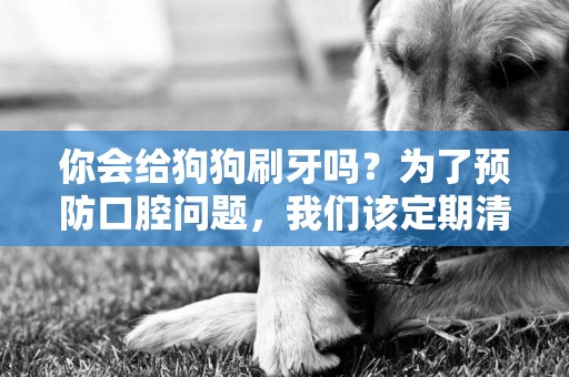 你會給狗狗刷牙嗎？為了預防口腔問題，我們該定期清潔狗狗牙齒