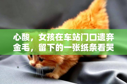心酸，女孩在車站門口遺棄金毛，留下的一張紙條看哭眾人