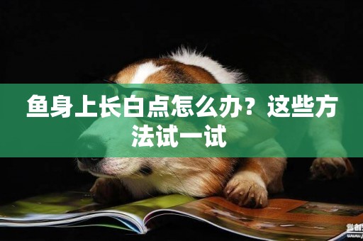 魚身上長白點怎么辦？這些方法試一試 